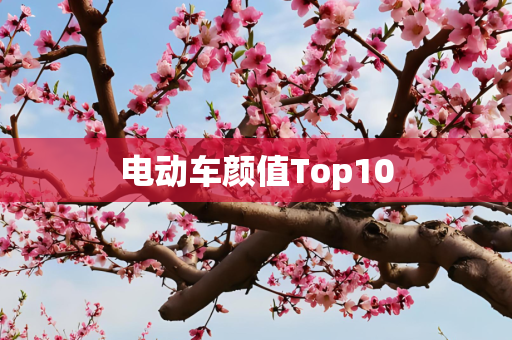 电动车颜值Top10
