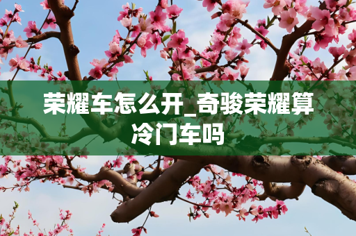 荣耀车怎么开_奇骏荣耀算冷门车吗