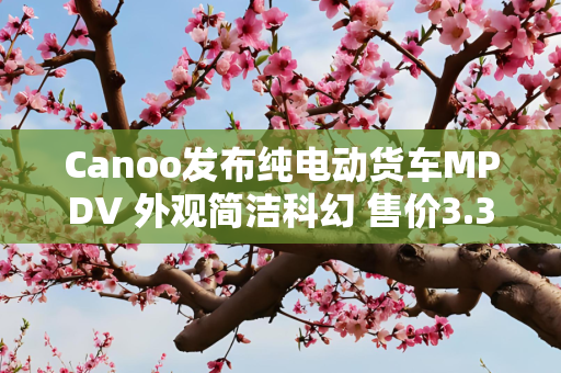 Canoo发布纯电动货车MPDV 外观简洁科幻 售价3.3万美元起