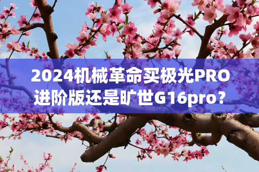 2024机械革命买极光PRO进阶版还是旷世G16pro？