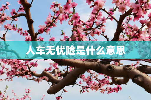 人车无忧险是什么意思