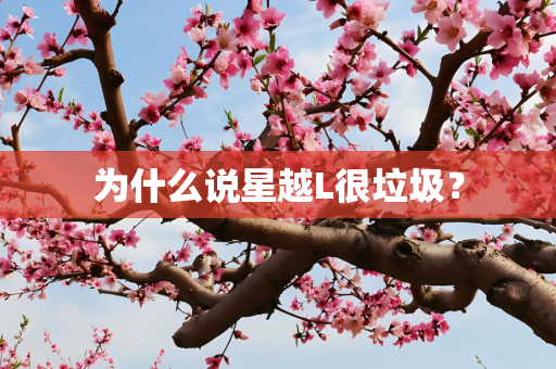 为什么说星越L很垃圾？