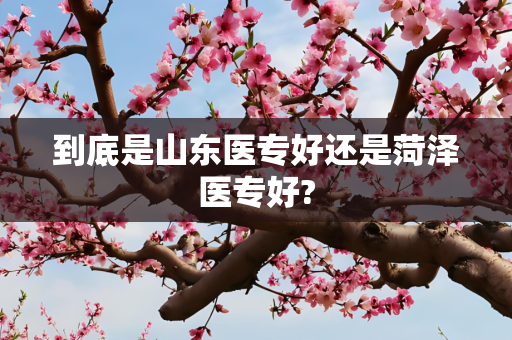 到底是山东医专好还是菏泽医专好?