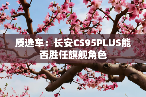 质选车：长安CS95PLUS能否胜任旗舰角色