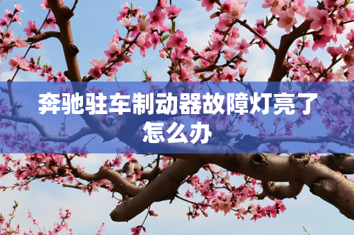 奔驰驻车制动器故障灯亮了怎么办