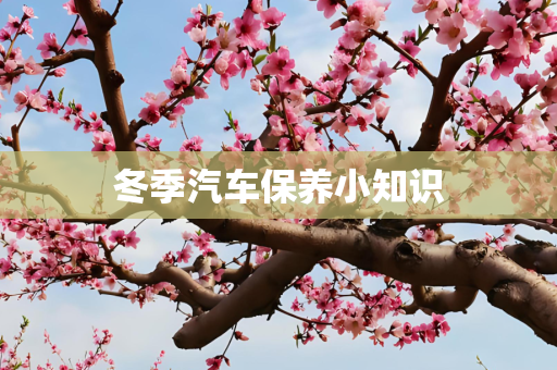 冬季汽车保养小知识