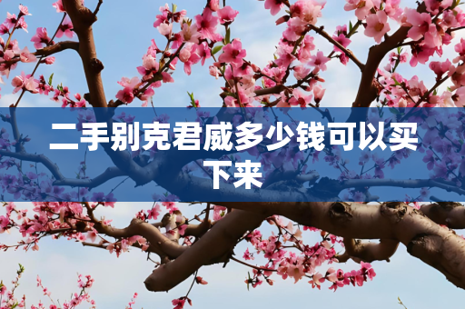 二手别克君威多少钱可以买下来