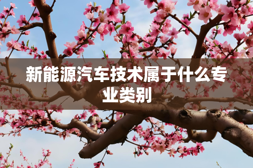 新能源汽车技术属于什么专业类别