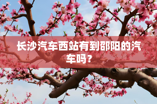 长沙汽车西站有到邵阳的汽车吗？