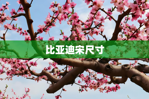 比亚迪宋尺寸