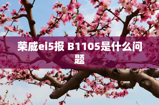 荣威ei5报 B1105是什么问题