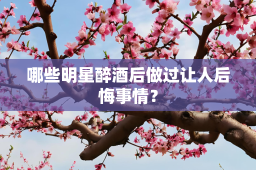 哪些明星醉酒后做过让人后悔事情？