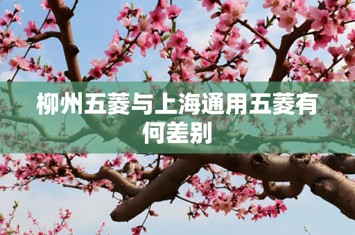 柳州五菱与上海通用五菱有何差别