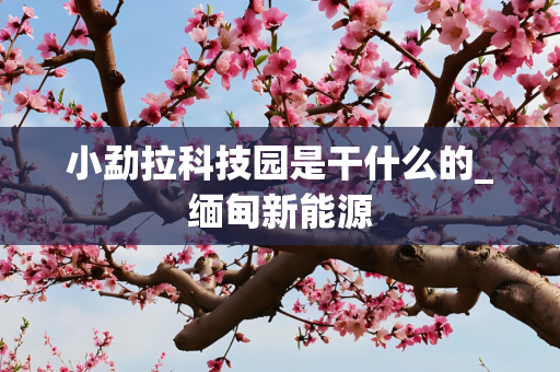 小勐拉科技园是干什么的_缅甸新能源