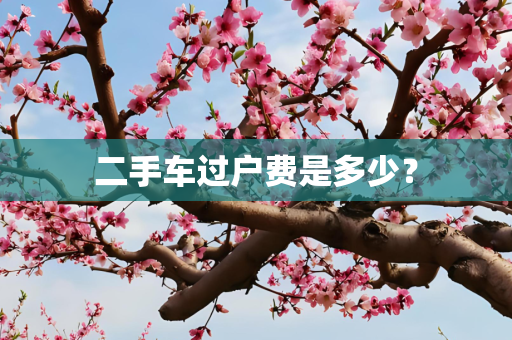 二手车过户费是多少？