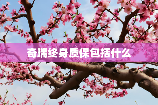 奇瑞终身质保包括什么