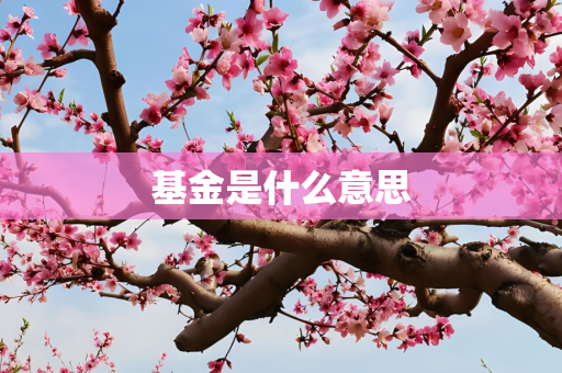 基金是什么意思