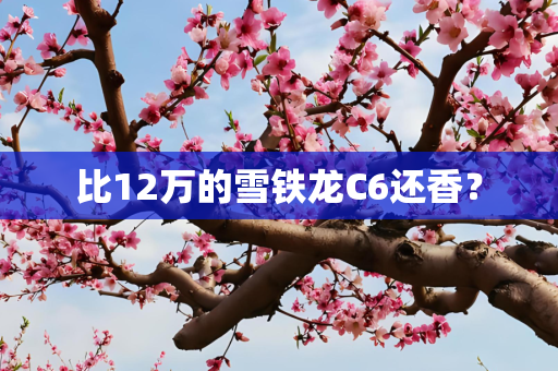 比12万的雪铁龙C6还香？