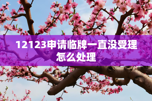 12123申请临牌一直没受理怎么处理
