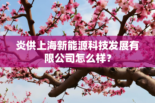 炎供上海新能源科技发展有限公司怎么样？