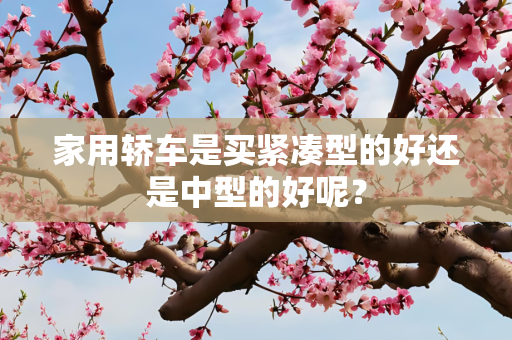 家用轿车是买紧凑型的好还是中型的好呢？