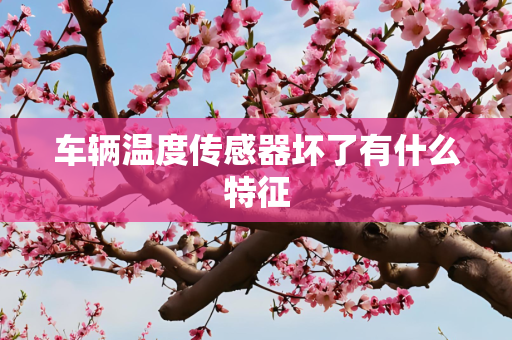 车辆温度传感器坏了有什么特征