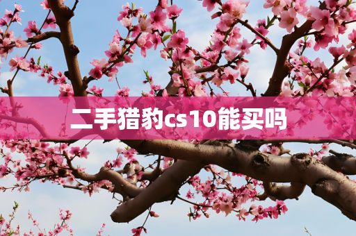 二手猎豹cs10能买吗