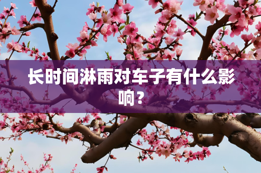 长时间淋雨对车子有什么影响？