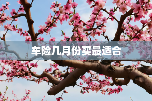 车险几月份买最适合