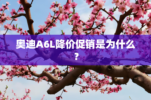 奥迪A6L降价促销是为什么？