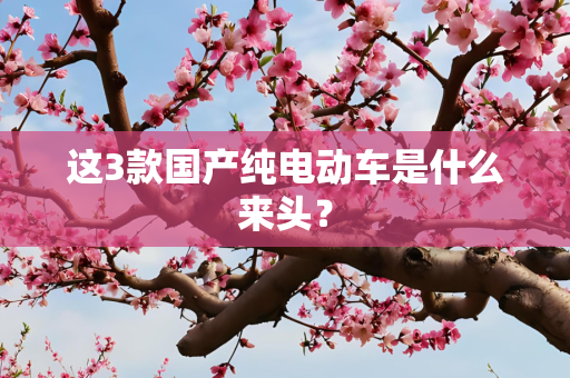 这3款国产纯电动车是什么来头？
