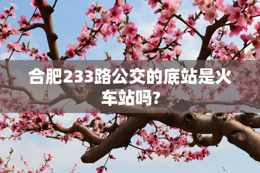 合肥233路公交的底站是火车站吗?