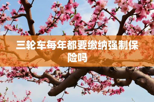 三轮车每年都要缴纳强制保险吗