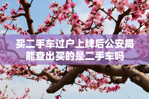 买二手车过户上牌后公安局能查出买的是二手车吗