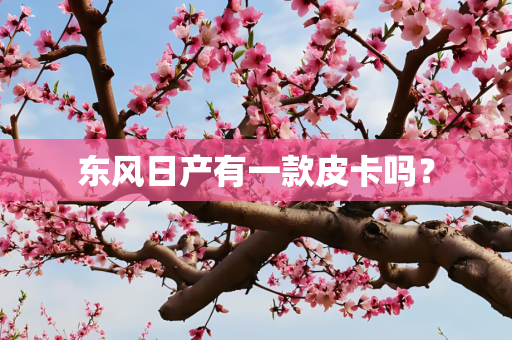 东风日产有一款皮卡吗？