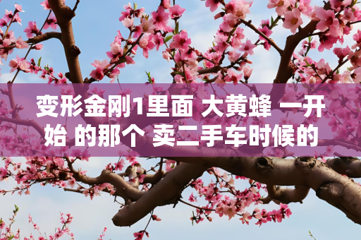 变形金刚1里面 大黄蜂 一开始 的那个 卖二手车时候的里面 后视镜 挂的 那个球是什么 莫斯科球？