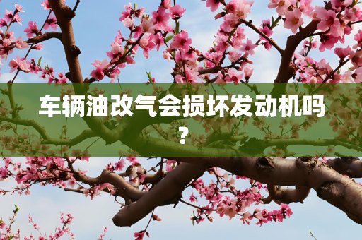 车辆油改气会损坏发动机吗？
