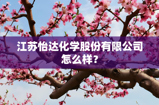 江苏怡达化学股份有限公司怎么样？