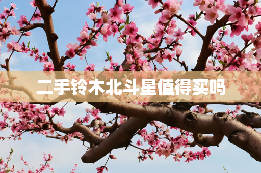 二手铃木北斗星值得买吗