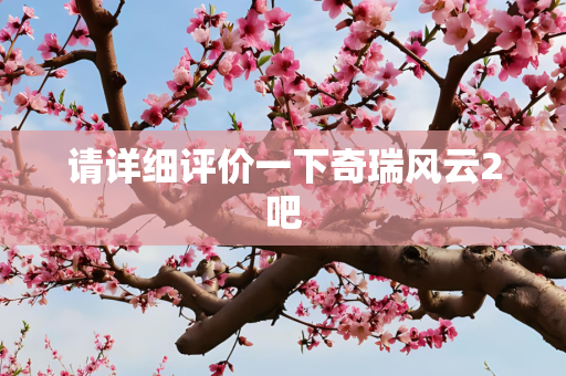 请详细评价一下奇瑞风云2吧