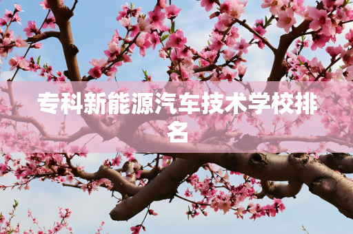 专科新能源汽车技术学校排名