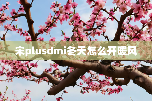 宋plusdmi冬天怎么开暖风