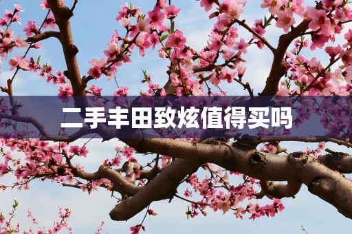 二手丰田致炫值得买吗