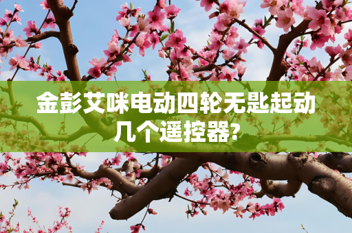 金彭艾咪电动四轮无匙起动几个遥控器?