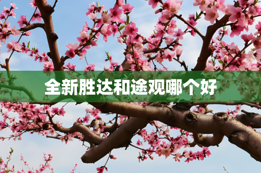 全新胜达和途观哪个好