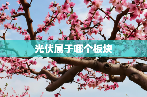 光伏属于哪个板块