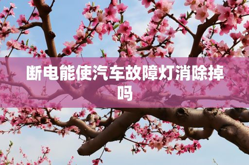 断电能使汽车故障灯消除掉吗