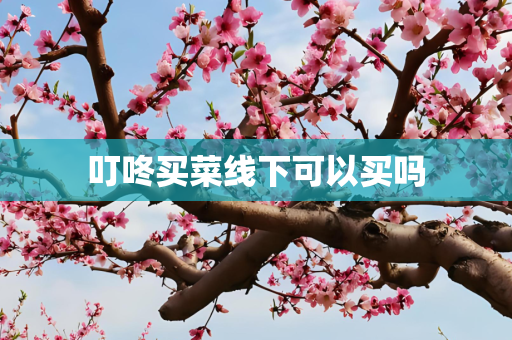 叮咚买菜线下可以买吗
