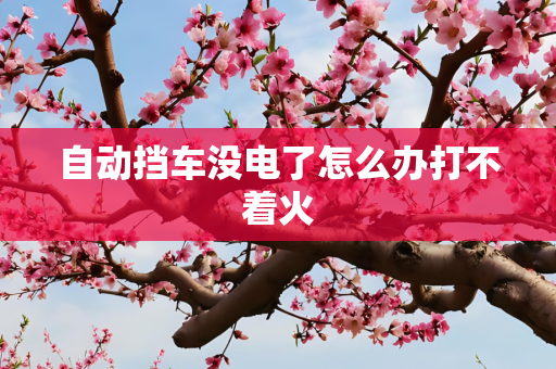 自动挡车没电了怎么办打不着火