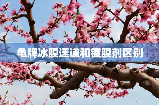 龟牌冰膜速递和镀膜剂区别